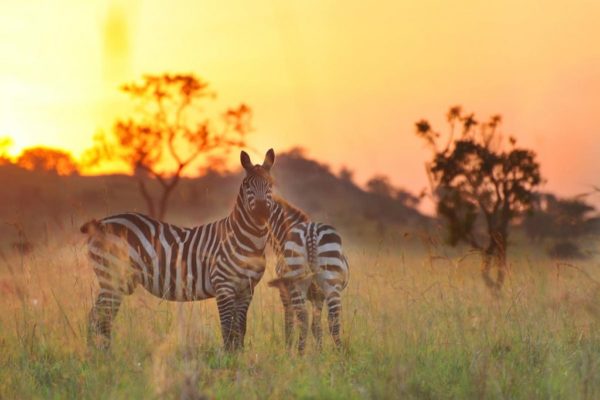 kidepo Valley Sunset