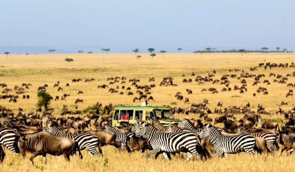 Game Drives in Kidepo Valley