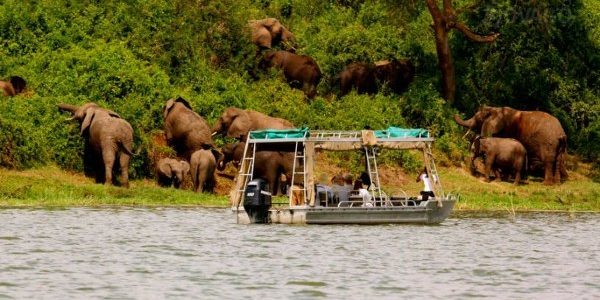 Game Drives in Queen Elizabeth