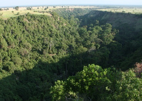 Kyambura Gorge