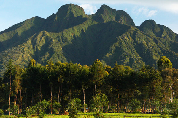 Virunga Volcanoes