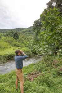 Mahogany Springs Lodge Bird Watching