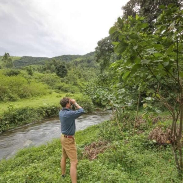 Mahogany Springs Lodge Bird Watching